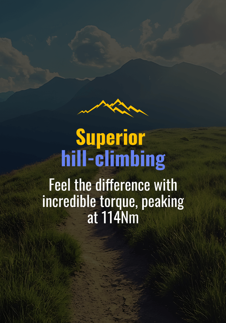 Superior hill-climbing. Feel the difference with incredible torque, peaking at 114Nm