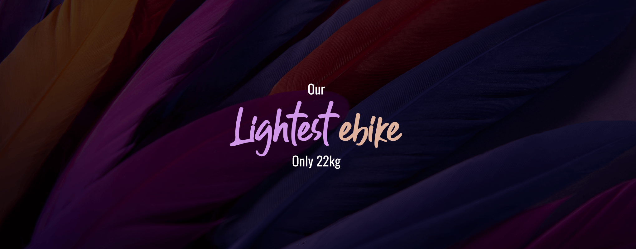 Our Lightest ebike only 22kg